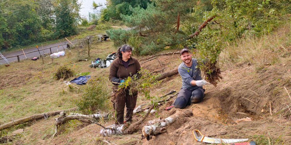 Pflegeeinsatz für seltene Pflanzenarten an der Lieper Bucht