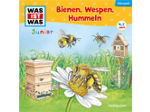 Daniela Wakonigg: WAS IST WAS Junior – Bienen, Wespen, Hummeln