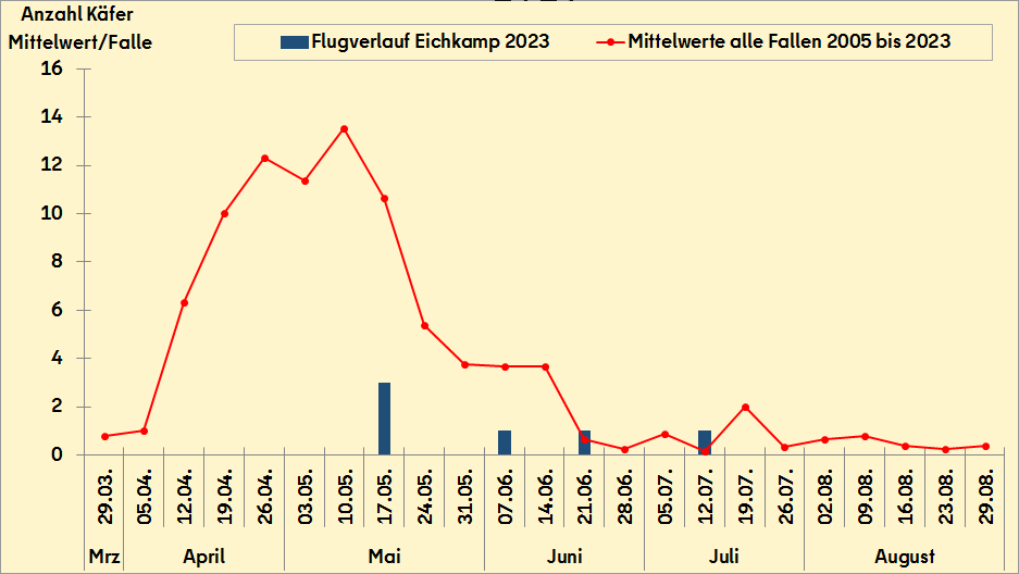 Auftreten des Ungleichen Holzbohrer am Standort Eichkamp 2023 im Vergleich zum Mittelwert (2005-2023)