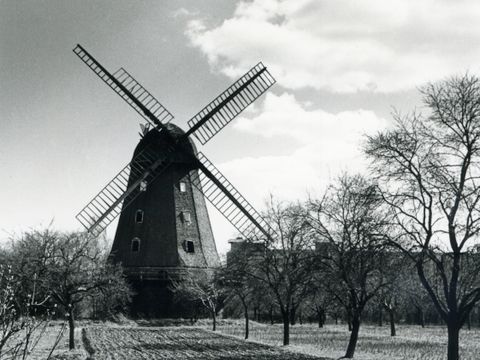 Britzer Mühle auf einem Sandboden