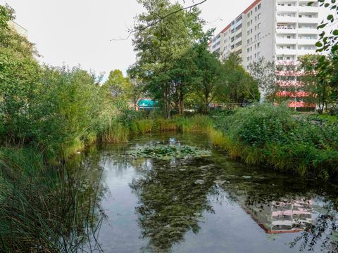 Teich im Kosmosviertel