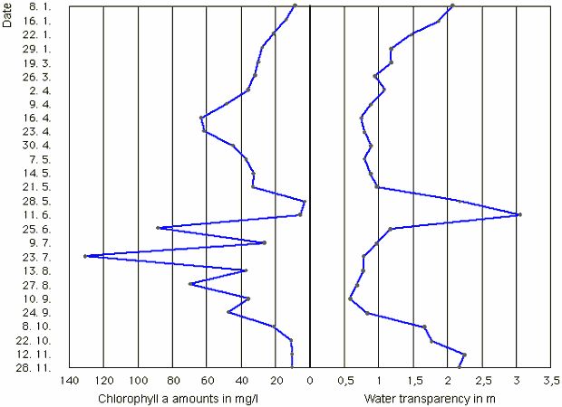 Fig. 4 Chlorophyll a Amounts and Water Transparency in Grosse Müggelsee (lake middle) 1991