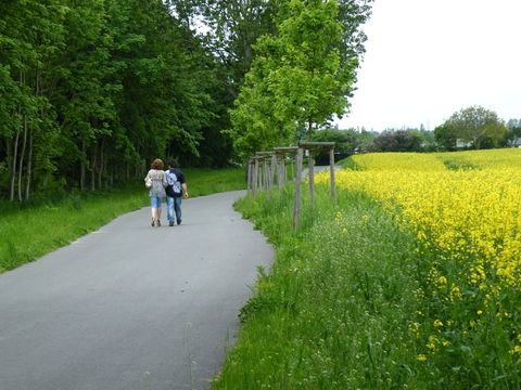 Enlarge photo: The path near the Falkenhöhe allotment gardens