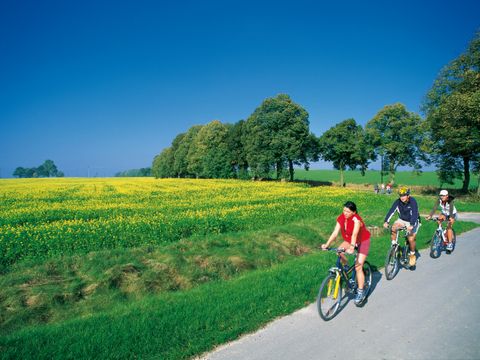 Radler an einem blühenden Rapsfeld