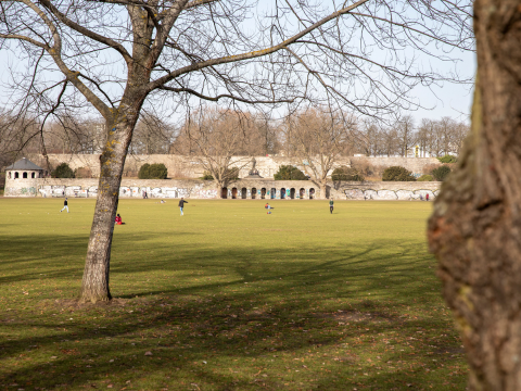 eine Rasenföläche im Schillerpark an einem sonnigen Wintertag. Im Hintergrund sind die Treppenstufen zu sehen.