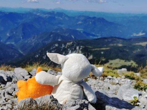 Aussicht auf einer Wanderung in den österreichischen Bergen