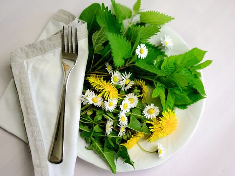 Teller mit Wild Kräutern