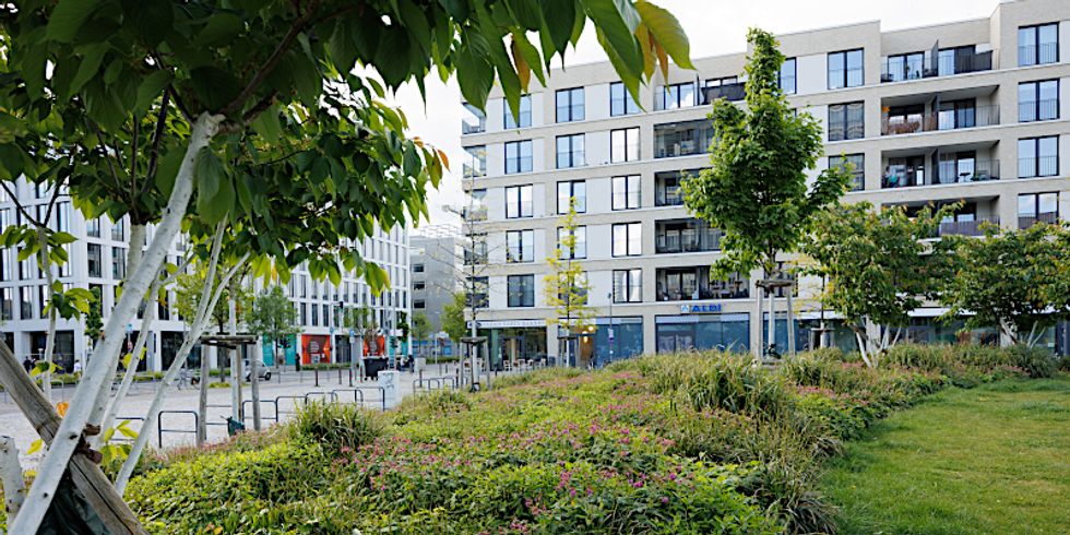 Staudenbeet und Fahrradbügel am Otto-Weidt-Platz