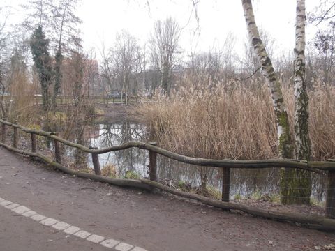 Görlitzer Park Weg am Teich