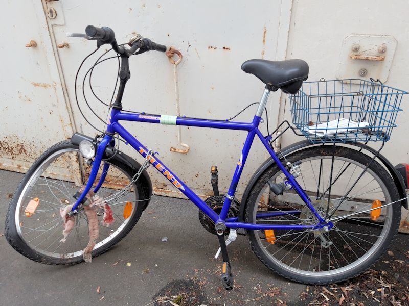 Bildvergrößerung: Blaues Herrenfahrrad