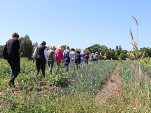 FÖL-Wissen was schmeckt