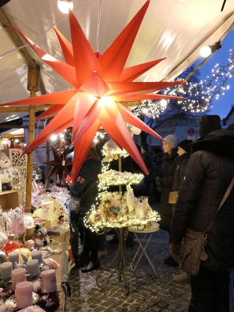 ein roter Weihnachtsstern