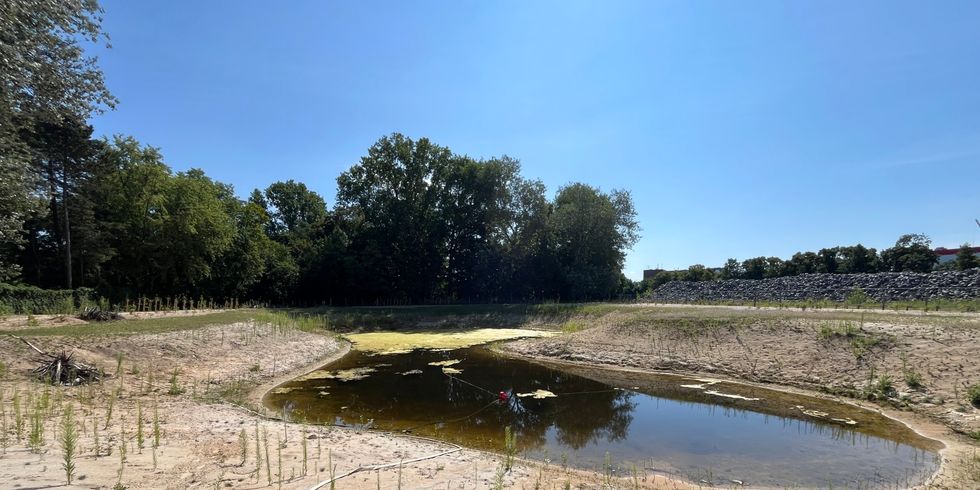 Der Teich auf dem Gelände des ehemaligen Kiesumschlagplatz heißt ab sofort "Kleine Libelle".