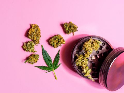 Cannabis, Marihuana Blütenknospen und Mühle auf rosa Hintergrund