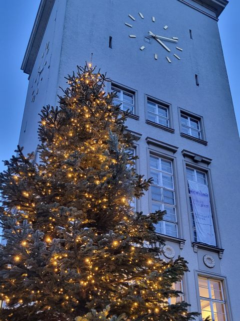 Bildvergrößerung: Ein beleuchteter Weihnachtsbaum steht vor einem Gebäude mit Uhrenturm.