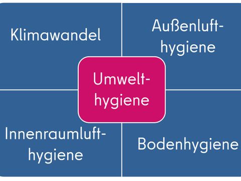 Umwelthygiene