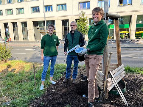 Installation Feuchtigkeitssensoren