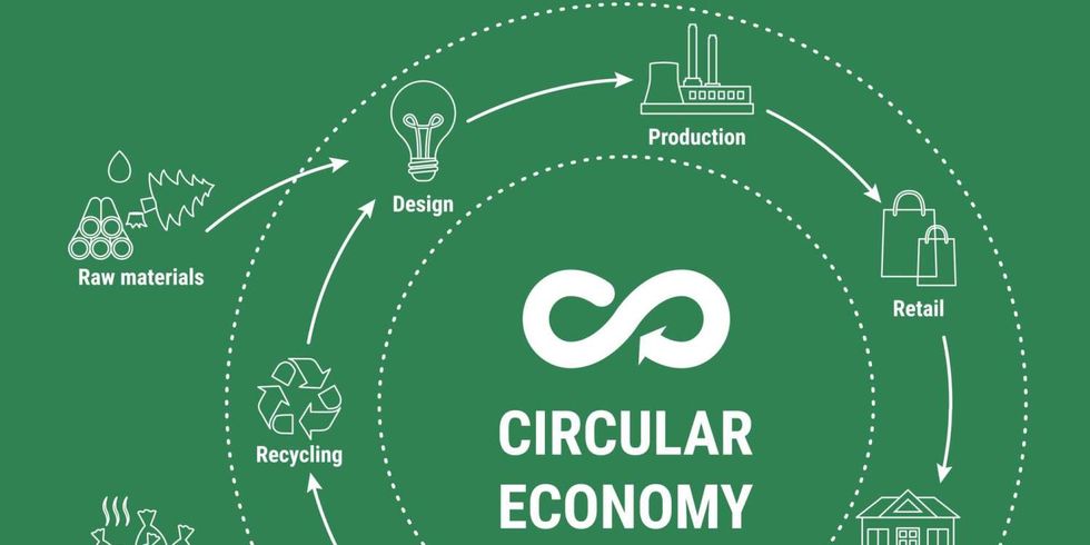 Circular Economy Infographic