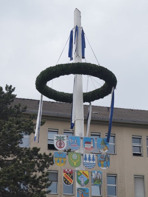 Bildvergrößerung: Maibaum 2020