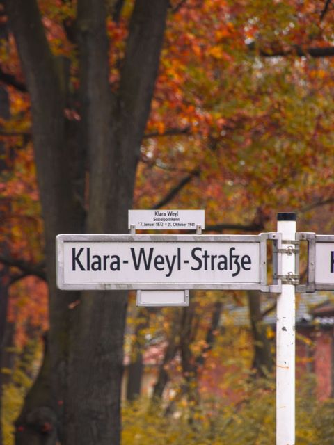 Ein Straßenschild vor einem herbstlichen Hintergrund. Auf dem Straßenschild steht "Klara-Weyl-Straße".