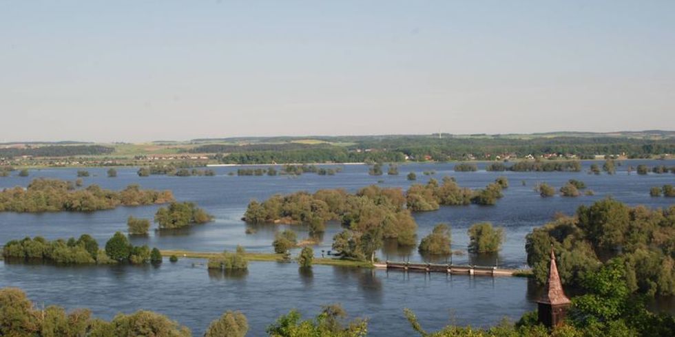 Frühjahrshochwasser im unteren Odertal