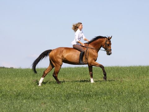 Eine Frau reitet auf einem braunen Pferd