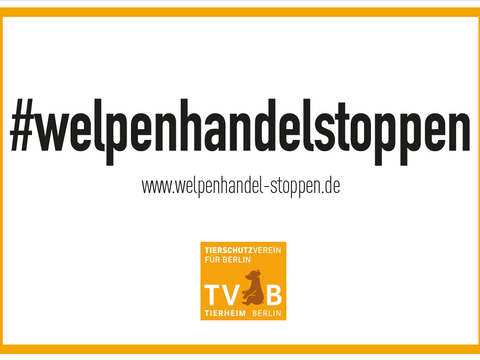 Tierschutzverein Berlin - welpenhandel stoppen - Banner