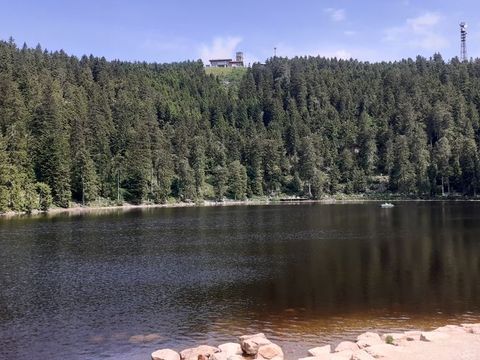 Blick auf den Mummelsee mit Bäumen umrandet