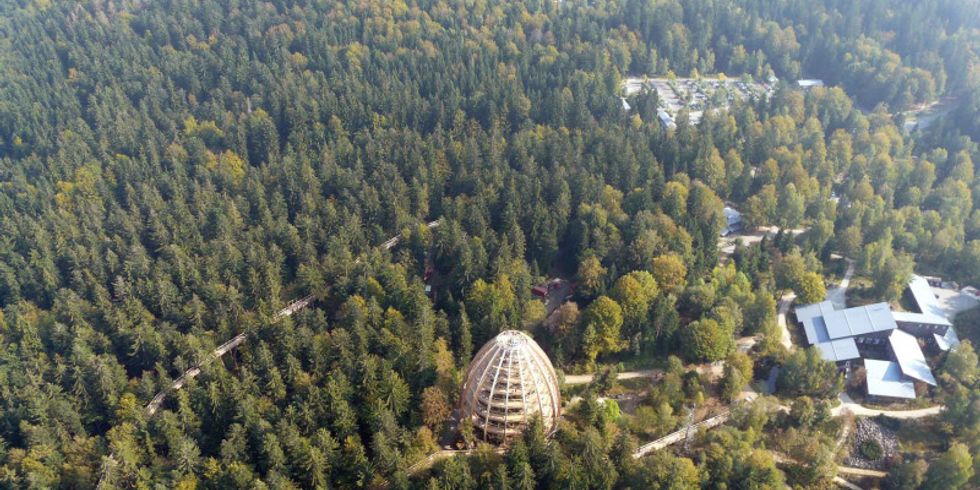 Der Baumwipfelpfad Bayerischer Wald aus der Vogelperspektive