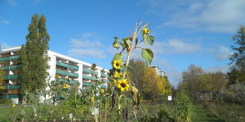 Spiel/Feld Marzahn