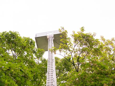 Lichtmast im Anita Berber Park, wächst aus dem Grünen