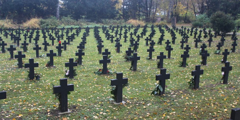 Viele identische Grabkreuze auf einer Wiese.