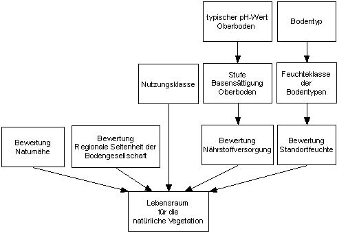 Abbildung 1 : Schema zur Bewertung der Lebensraumfunktion für die natürliche Vegetation