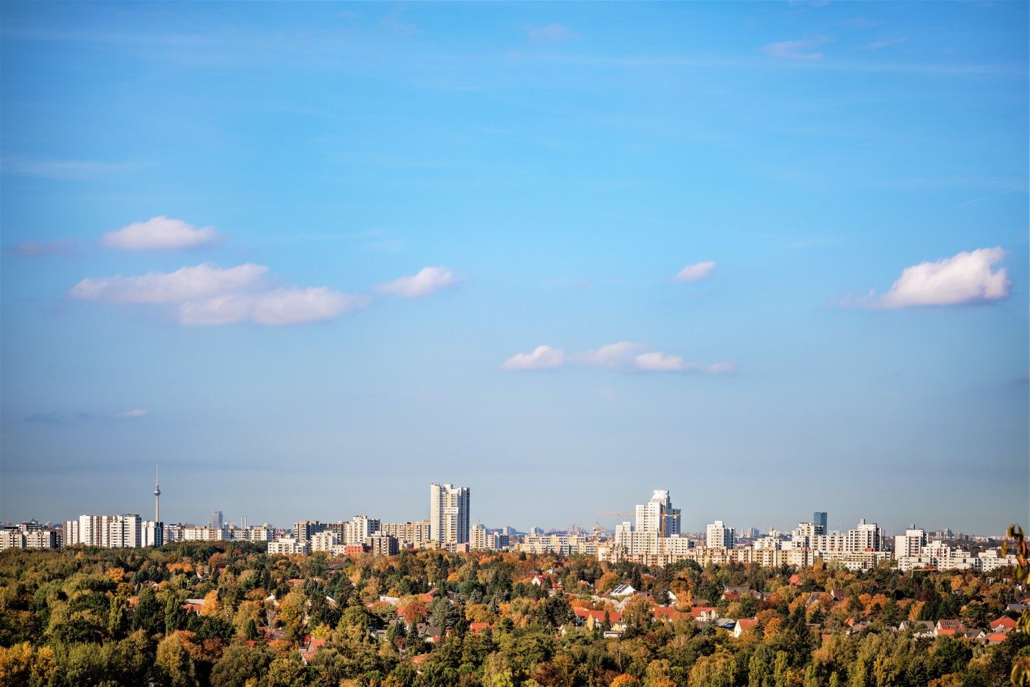 Aussicht auf Berlin. Im unteren Bildteil Bäume im Hintergund Häuser und der Fernsehturm.