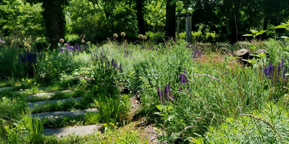 Staudenbeet Friedhof