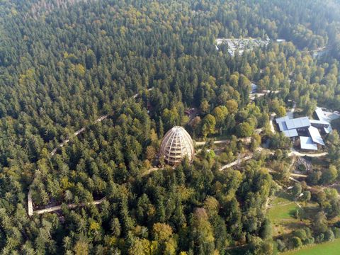 Der Baumwipfelpfad Bayerischer Wald aus der Vogelperspektive