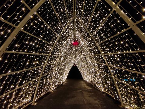 Weihnachten im Tierpark 2021