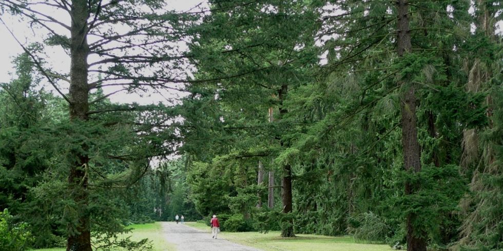 Waldfriedhof Dahlem Allee