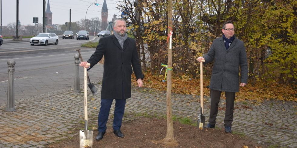 BTB Geschäftsführer Weiblein und Bezirksbürgermeister Igel pflanzen Baum am Köllnischen Platz