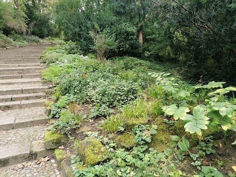 Gutachten zur Biodiversitaet im Fritz-Schloss-Park und Umgebung