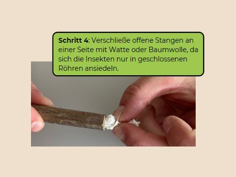 Schritt 4 : Verschließe offene Stangen aneiner Seite mit Watte oder Baumwolle, dasich die Insekten nur in geschlossenenRöhren ansiedeln.