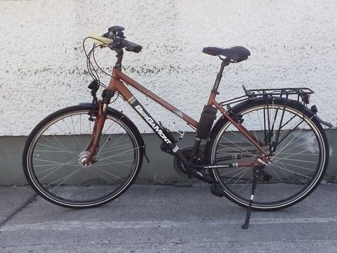 Braun-schwarze Damenfahrrad