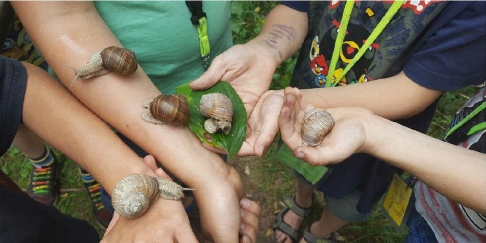 Naturerlebnis: Wie fühlen sich Schnecken auf der Haut an?