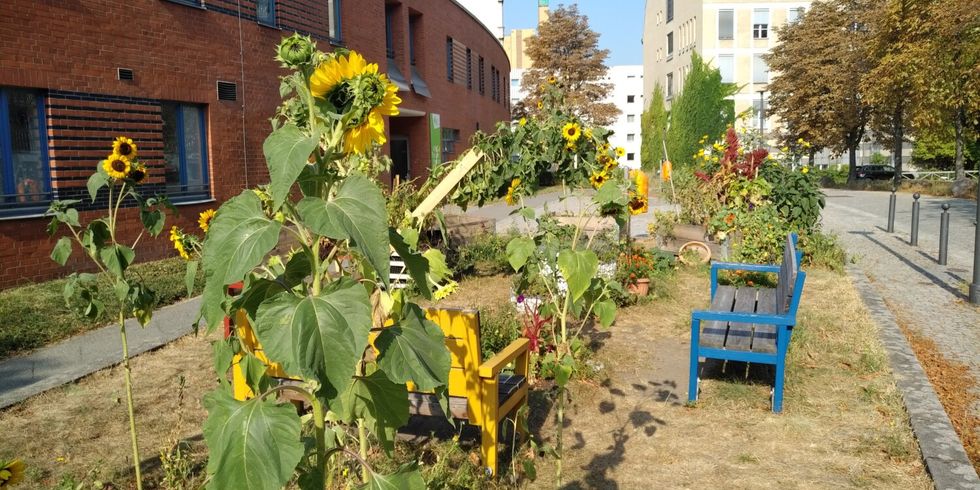 Stadtnatur auf kleinster FLäche in der Nachbarschaft rund um den Anhalter Banhnhof