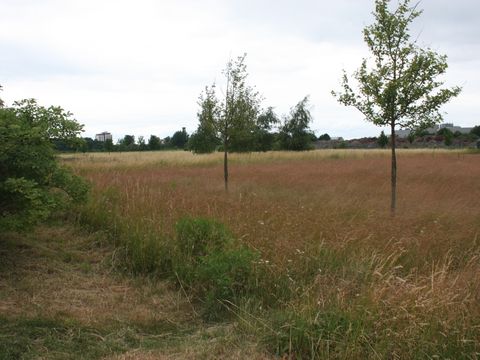 Bildvergrößerung: Naturschauspiel im Freizeitpark Marienfelde