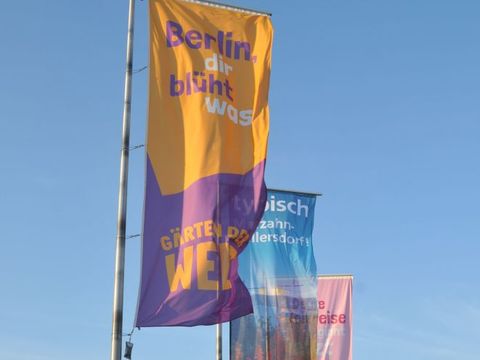 Geburtstagsfeier 40 Jahre Marzahn-Hellersdorf - Fahnen in der Abendsonne in der Arena der Gärten der Welt