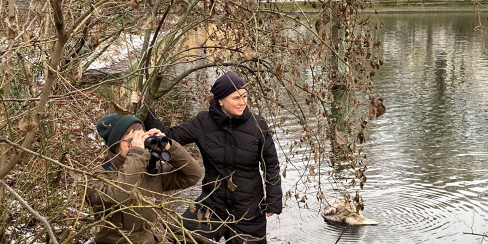 Ökologische Vielfalt fördern: Biber in Spree und Landwehrkanal