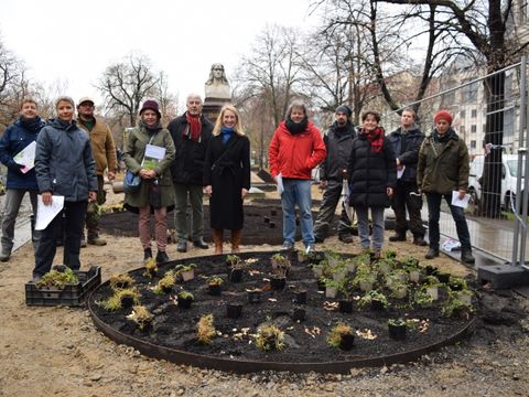 Pflanzaktion Modellbeet Monbijouplatz