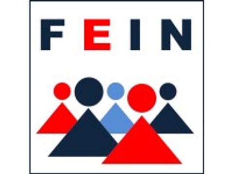 Logo Fein_Mittel