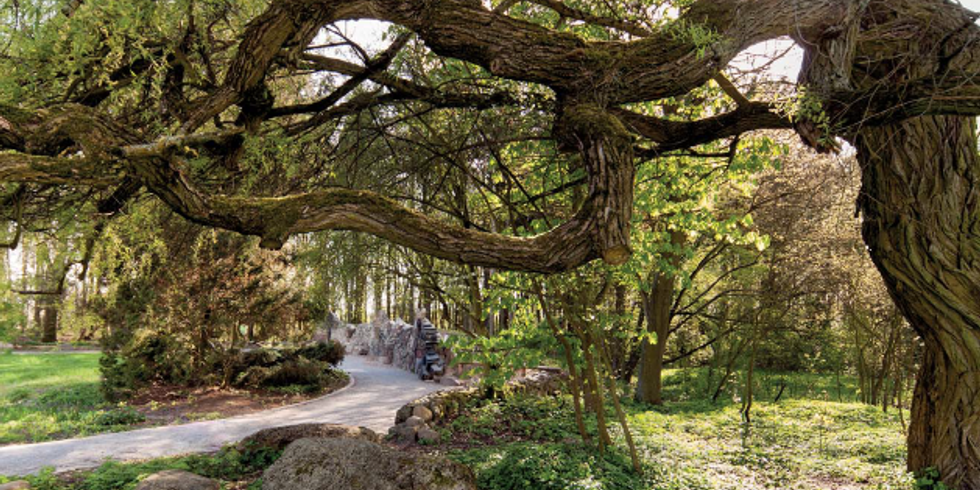 Botanischer Volkspark